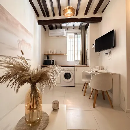 Le Balneo Jacuzzi Vieil Safranier Apartmán *