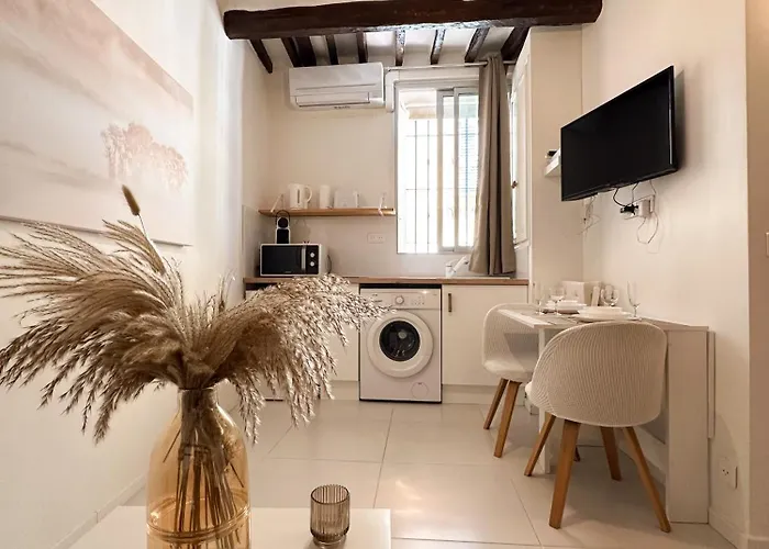 Le Balneo Jacuzzi Vieil Safranier Apartamento *